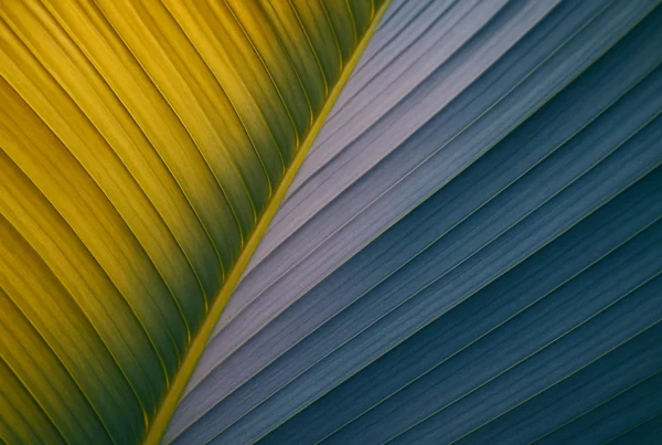 Modern website hero section showcasing nature-inspired web design trends for 2026